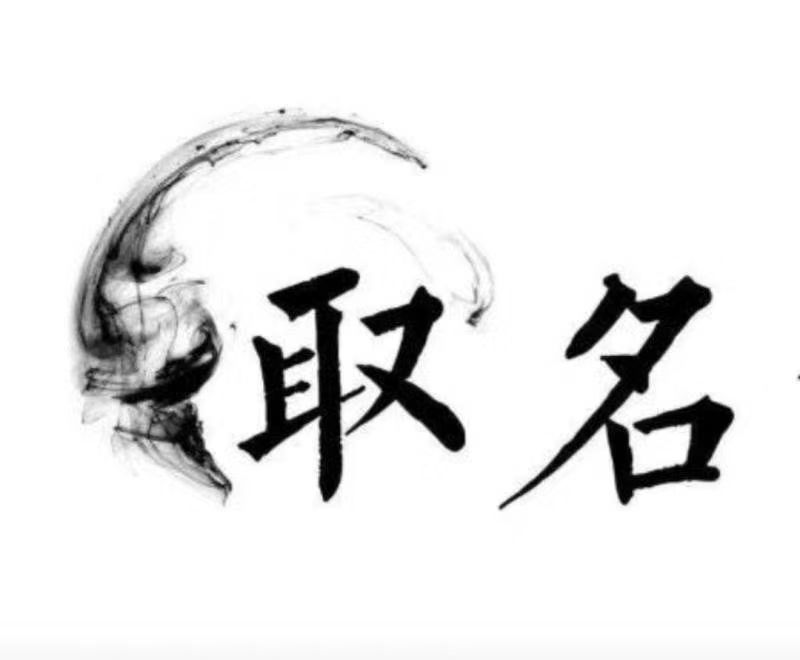 金秀宝宝取名 大师一对一人工起名